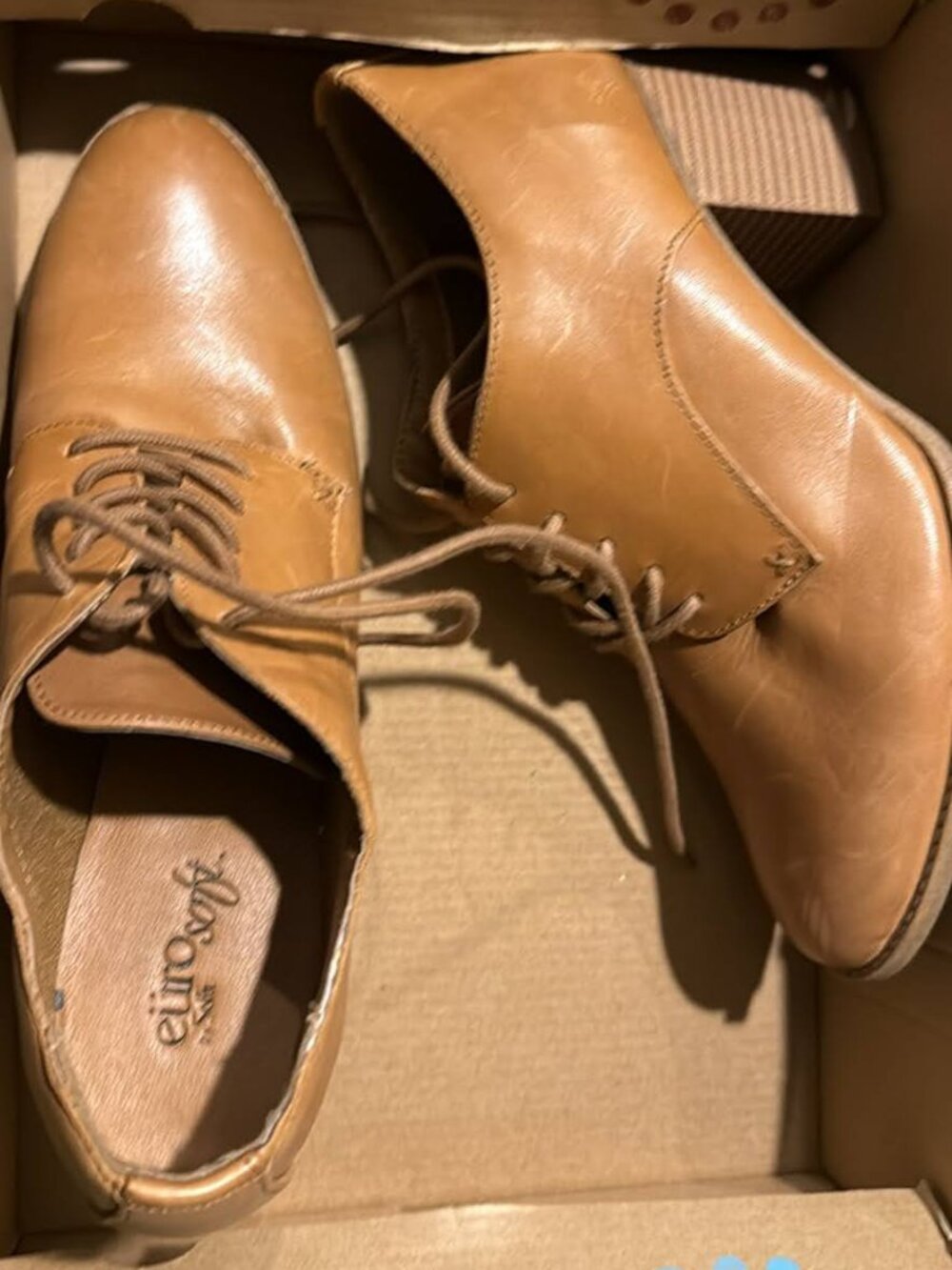 Dress Work Shoe